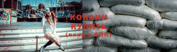 винт Алзамай