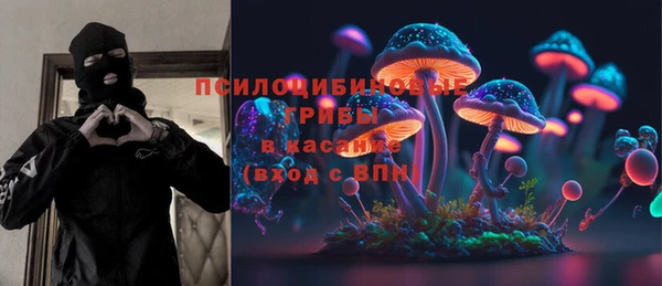 винт Алзамай