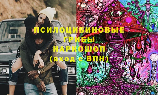 кокс Алексин