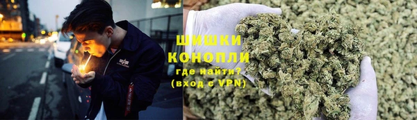 винт Алзамай