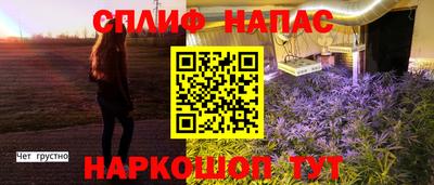 прущие грибы Павлово