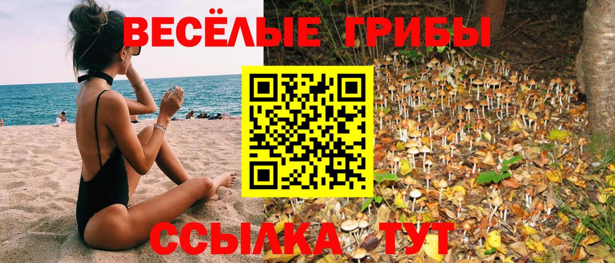 Галлюциногенные грибы Psilocybe  Вход с VPN  Лабинск 
